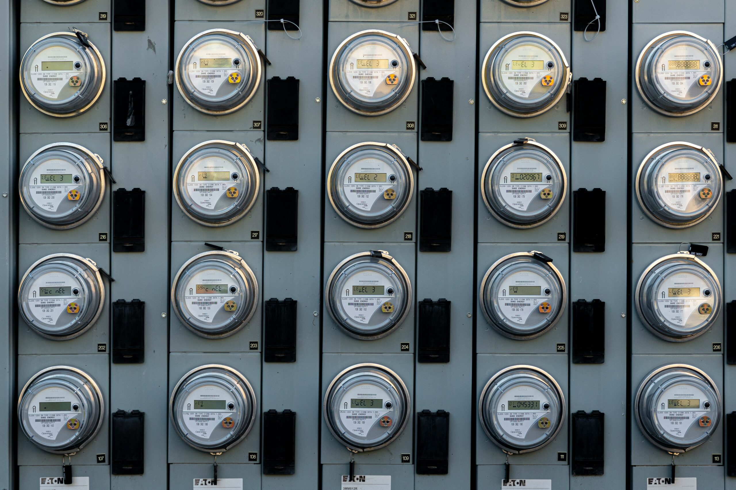 School facility manager reviewing energy usage data